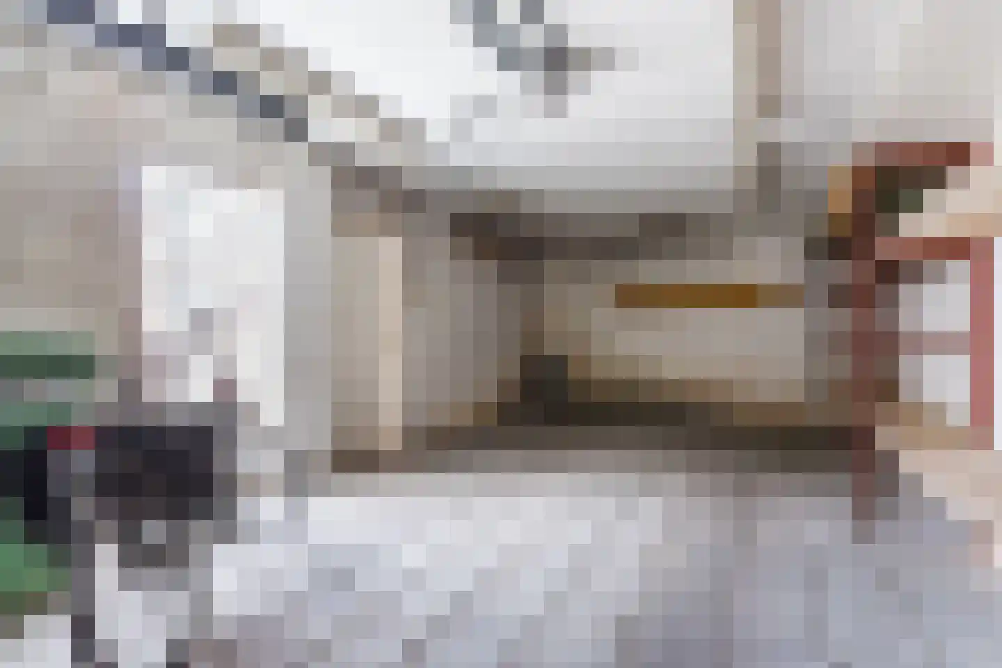 Odradastraat 65 Eersel thumbnail 44