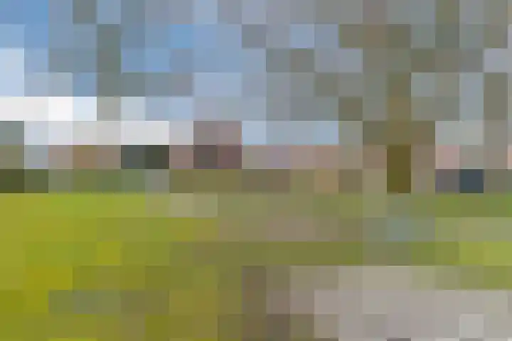 Odradastraat 65 Eersel thumbnail 48