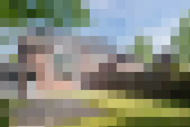 Odradastraat 72 Eersel thumbnail 35