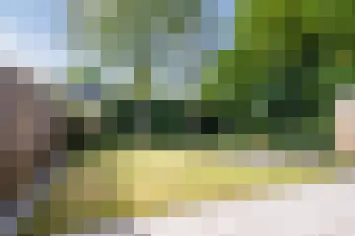 Odradastraat 72 Eersel thumbnail 36
