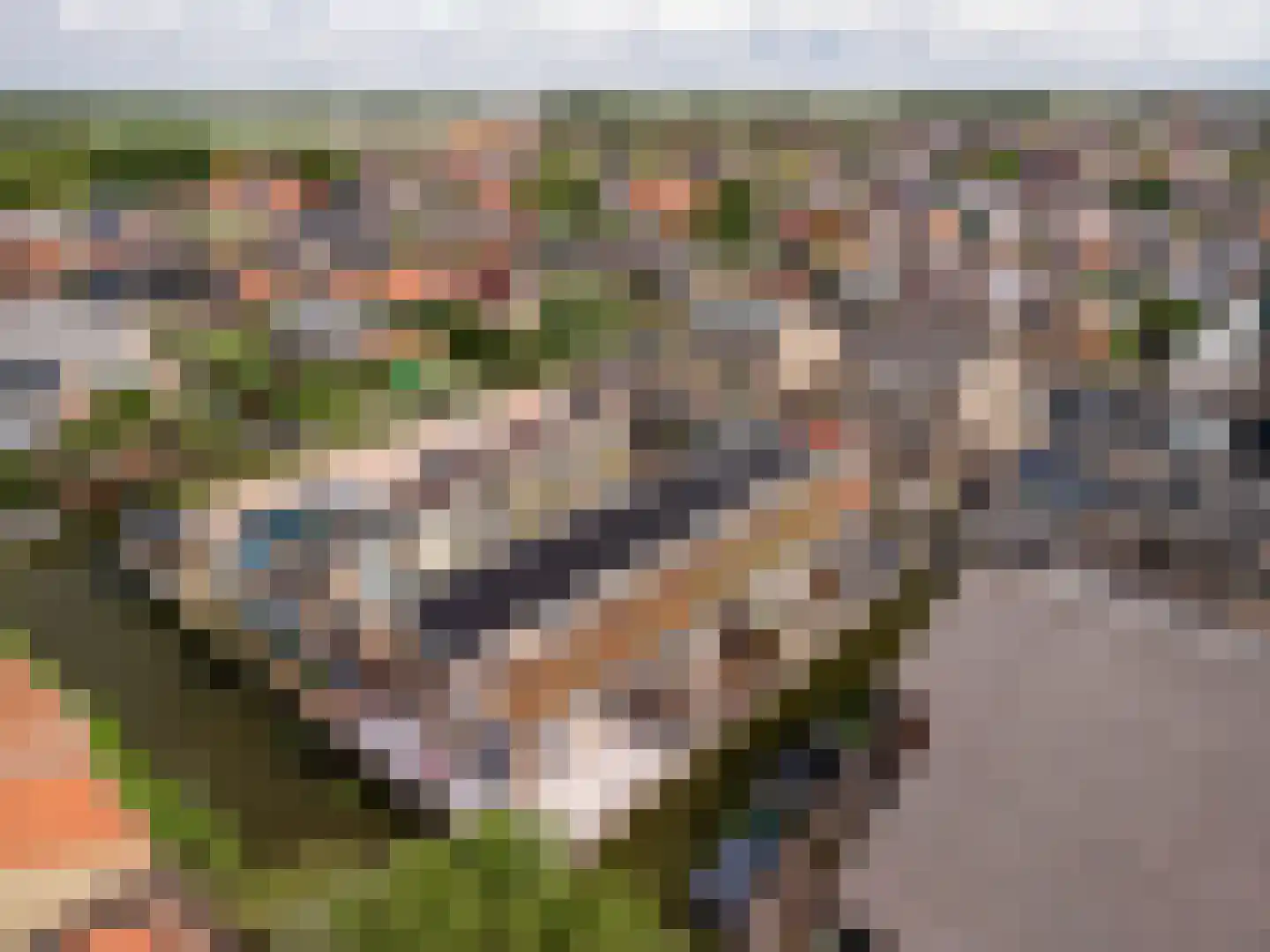 Odulphushof 7 Lutjebroek