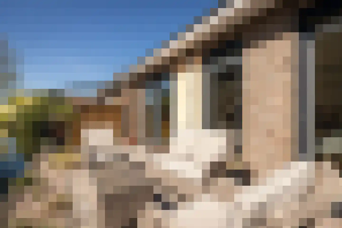 Odulphushof 7 Lutjebroek thumbnail 38