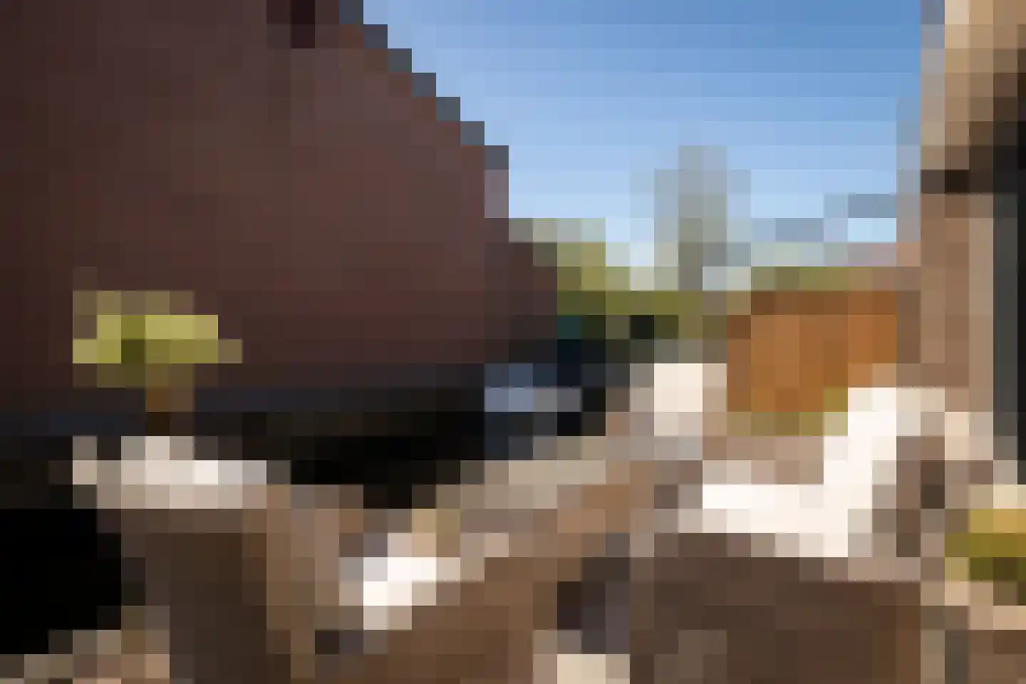 Odulphushof 7 Lutjebroek thumbnail 39