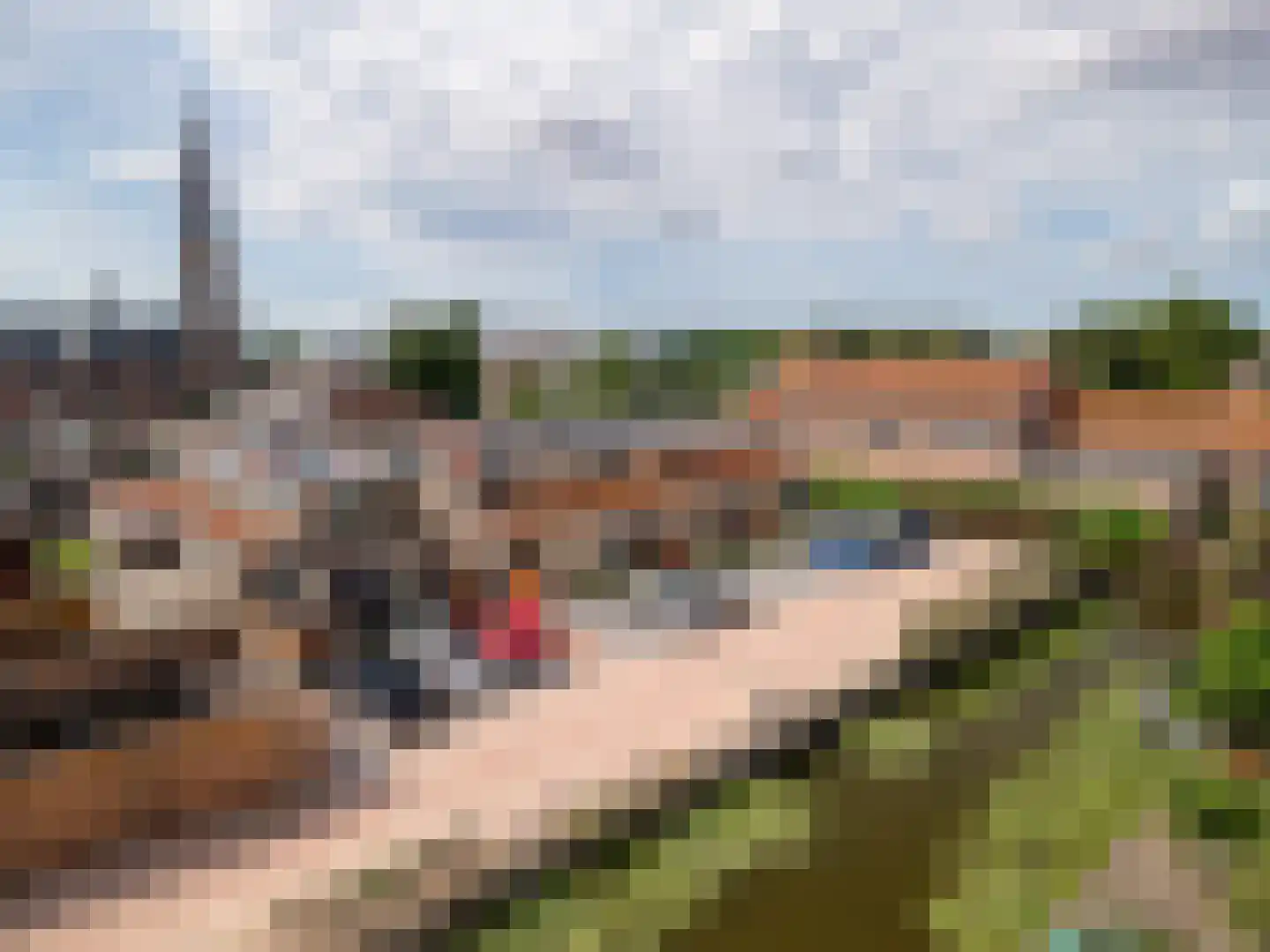 Odulphushof 7 Lutjebroek thumbnail 52