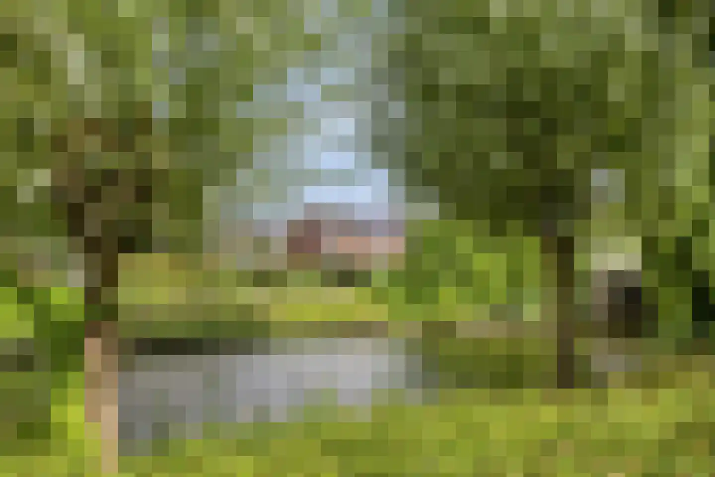 Odulphushof 7 Lutjebroek thumbnail 56