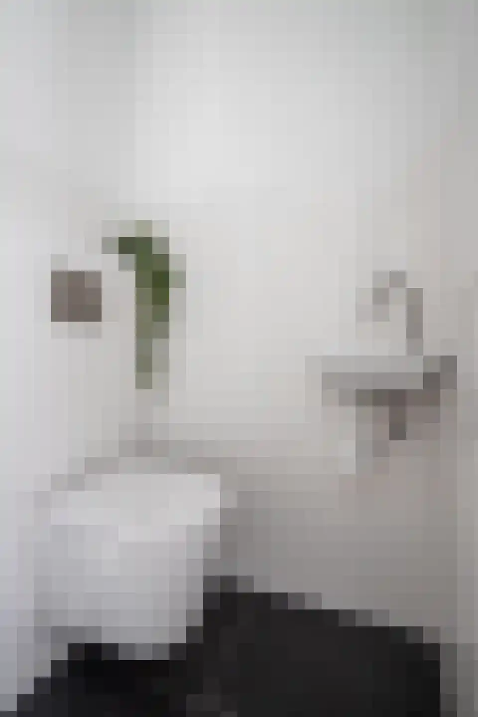 Odulphushof 7 Lutjebroek thumbnail 61