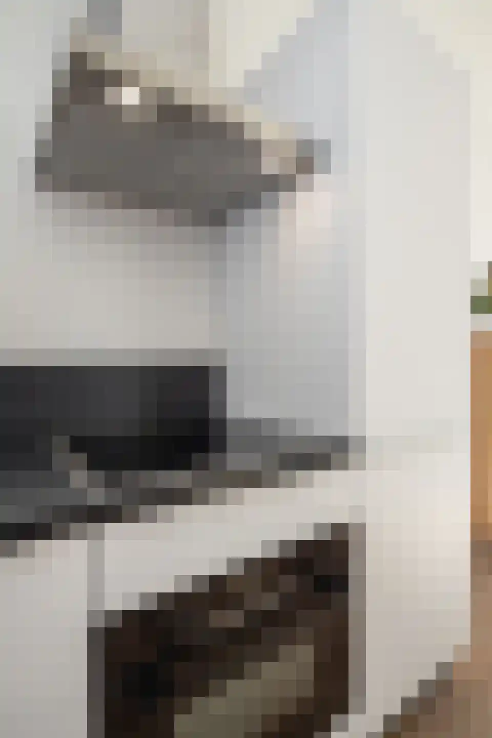 Odulphushof 7 Lutjebroek thumbnail 63
