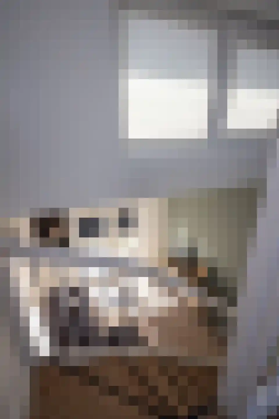Odulphushof 7 Lutjebroek thumbnail 67