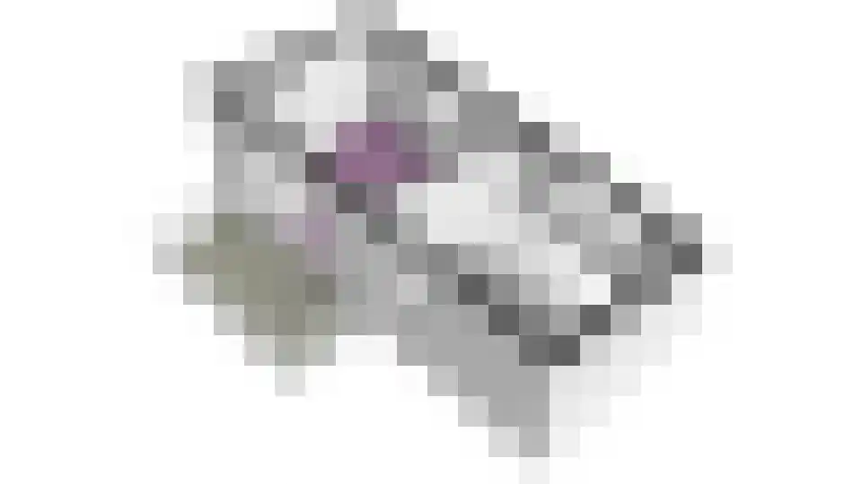 Odulphushof 7 Lutjebroek thumbnail 72
