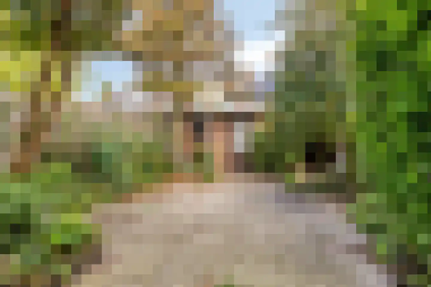 Odysseuslaan 17 Eindhoven thumbnail 14