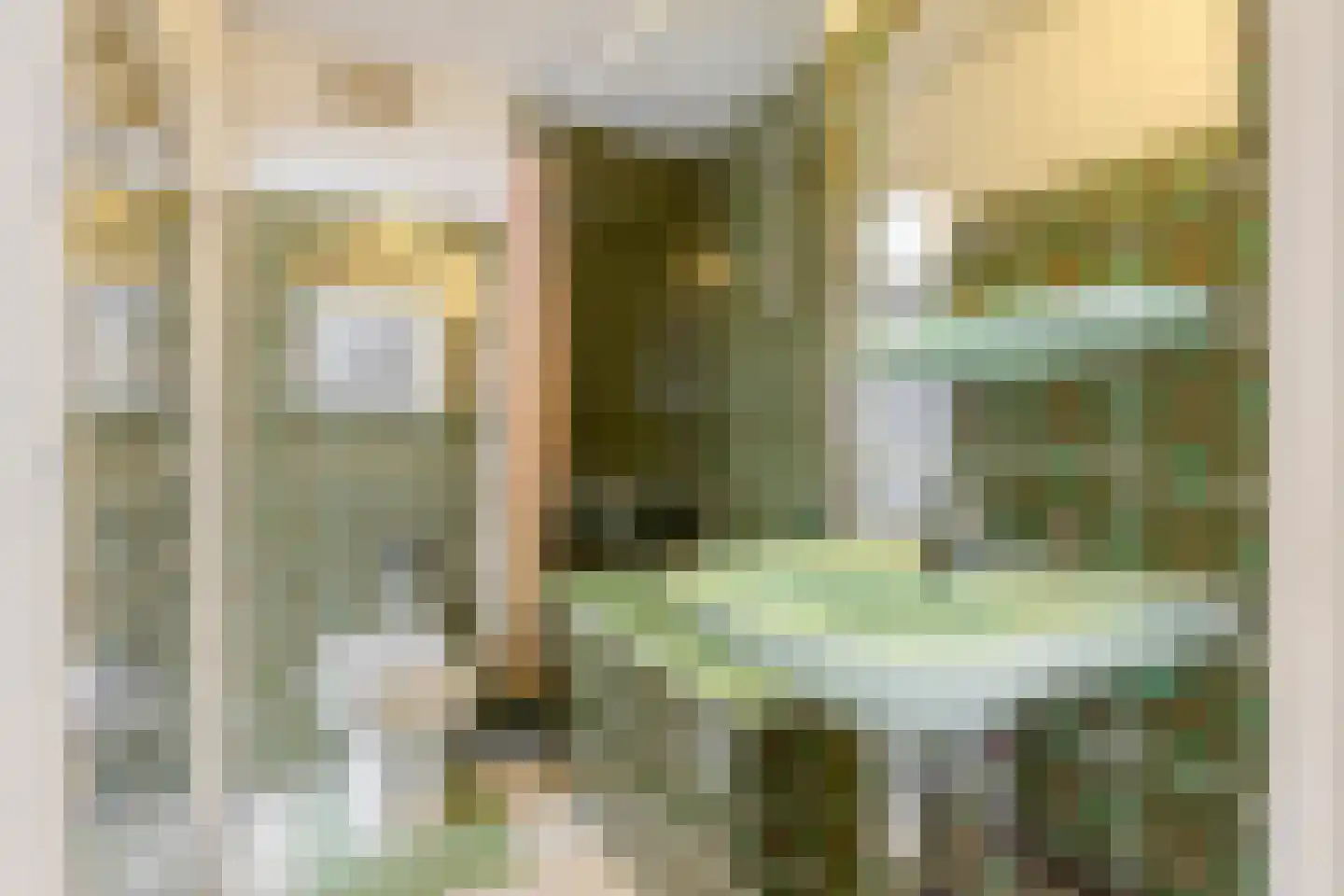 Odysseuslaan 17 Eindhoven thumbnail 20