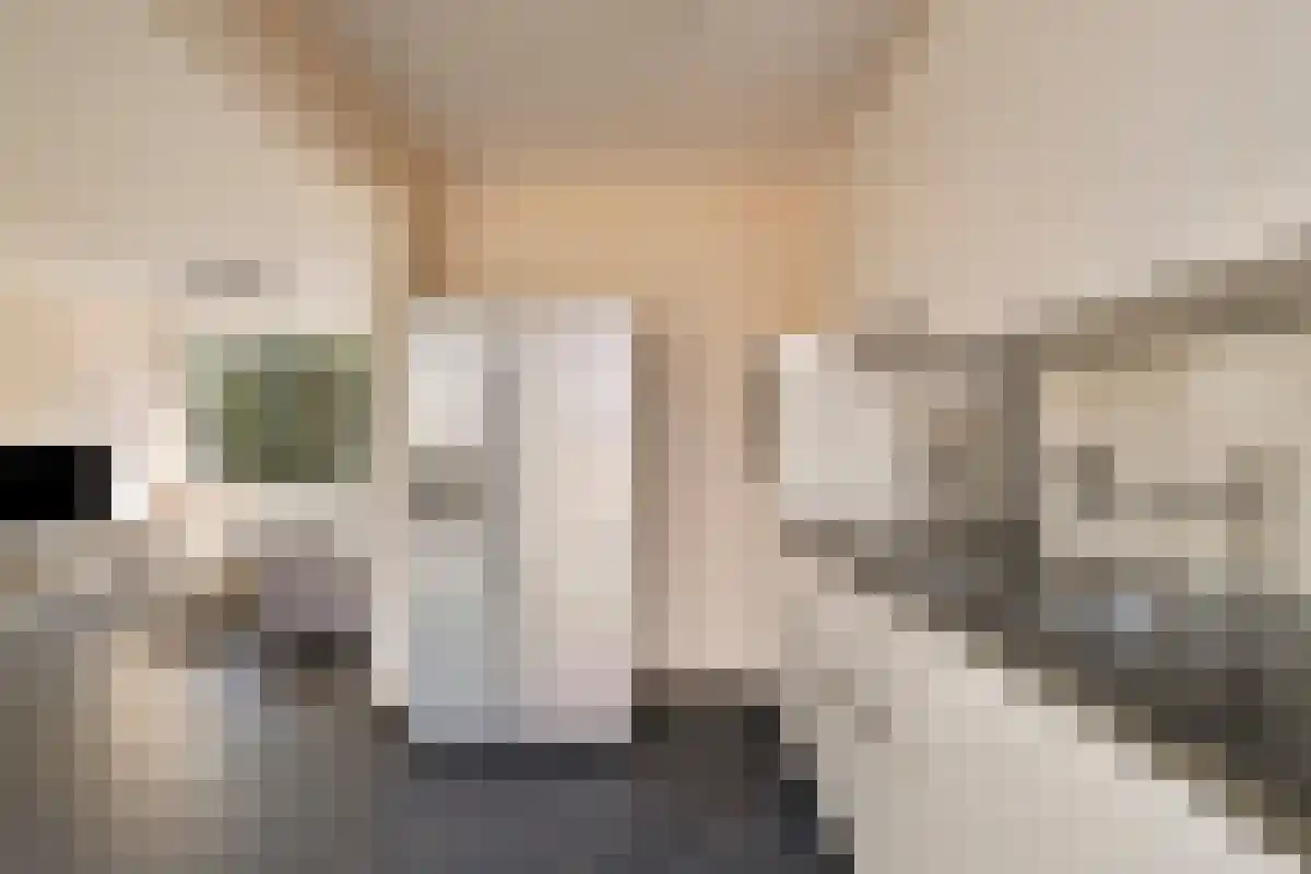 Odysseuslaan 49 Eindhoven thumbnail 7