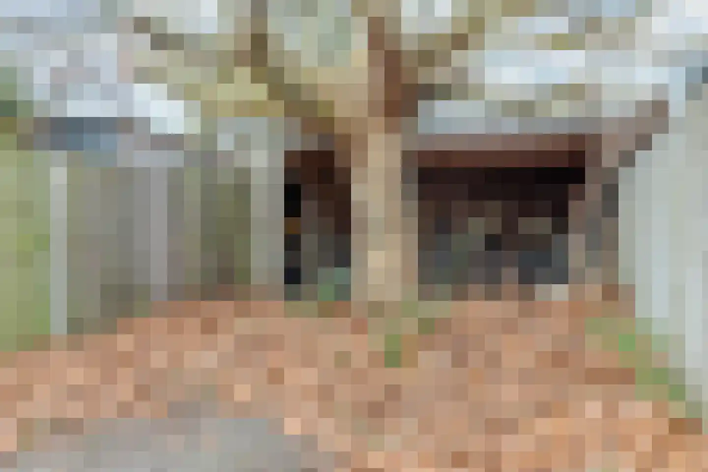 Oede van Hoornestraat 12 Breda thumbnail 34