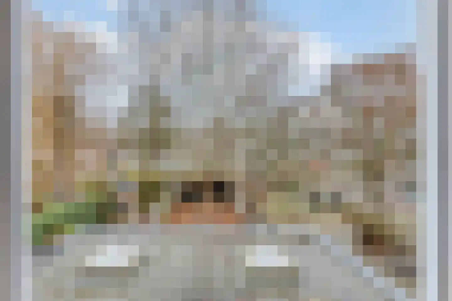 Oede van Hoornestraat 12 Breda thumbnail 4