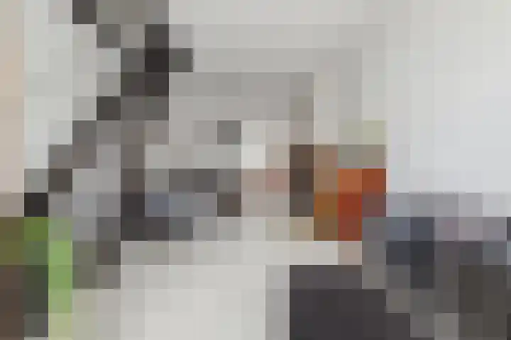 Oede van Hoornestraat 28 Breda thumbnail 13
