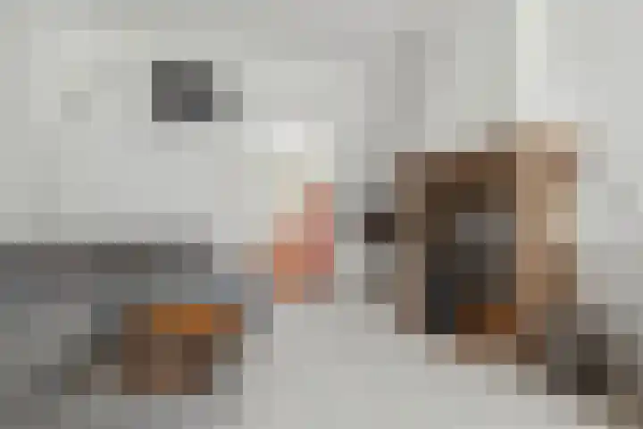 Oede van Hoornestraat 28 Breda thumbnail 18