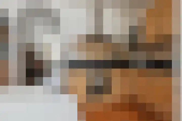Oede van Hoornestraat 28 Breda thumbnail 21