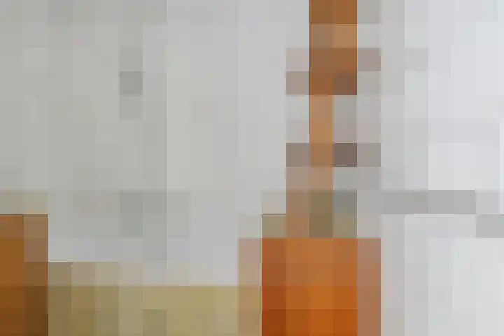 Oede van Hoornestraat 28 Breda thumbnail 32