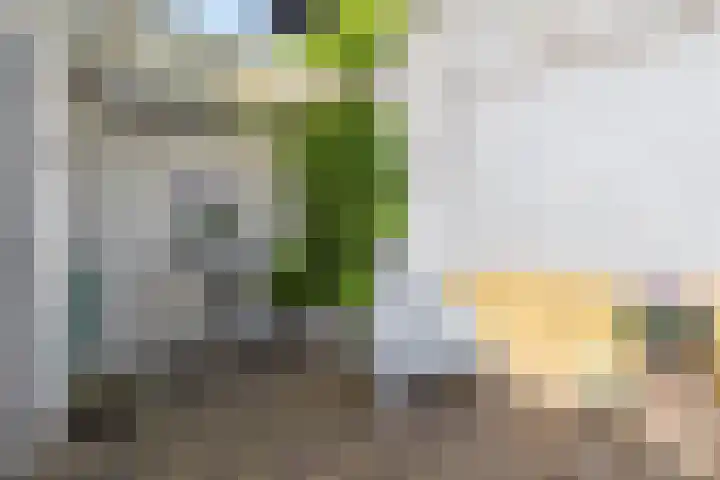 Oede van Hoornestraat 28 Breda thumbnail 34