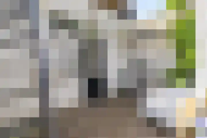 Oede van Hoornestraat 28 Breda thumbnail 35