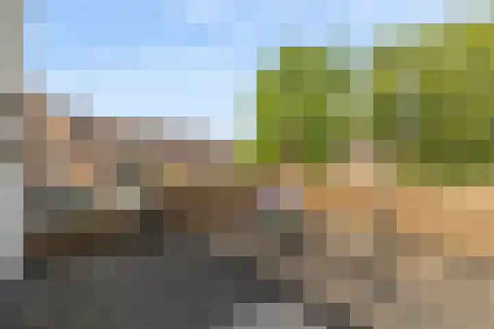 Oede van Hoornestraat 28 Breda thumbnail 37