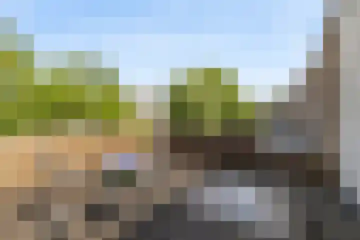 Oede van Hoornestraat 28 Breda thumbnail 39