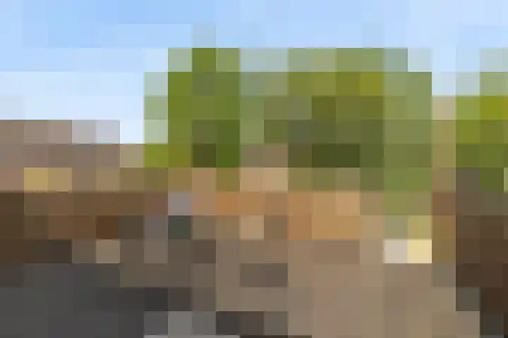 Oede van Hoornestraat 28 Breda thumbnail 5