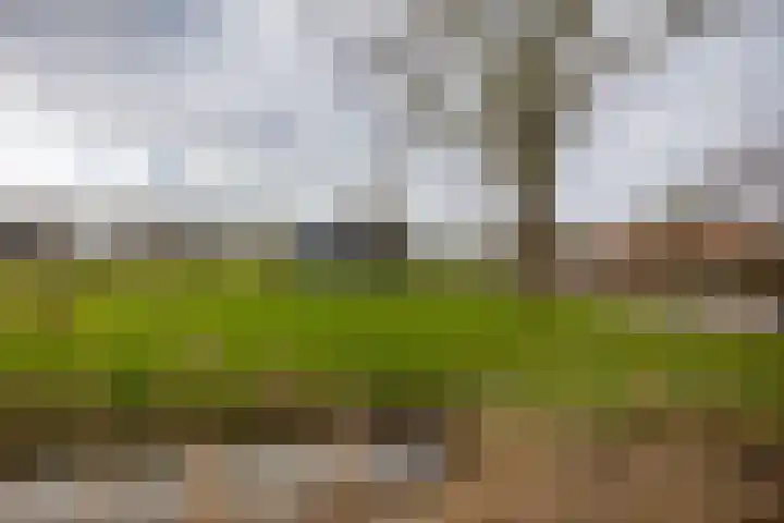 Oedsmawei 16 Boksum thumbnail 46