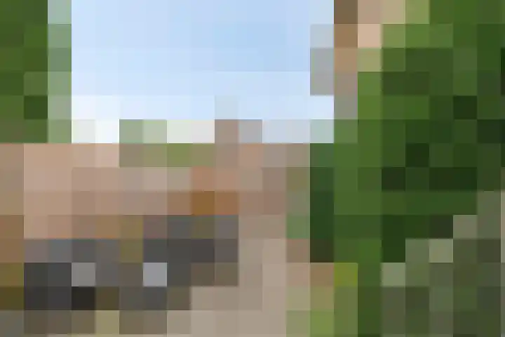 Oeffeltseweg 1 Beugen thumbnail 20