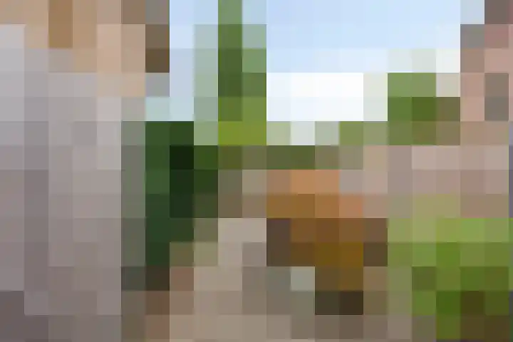 Oeffeltseweg 1 Beugen thumbnail 21