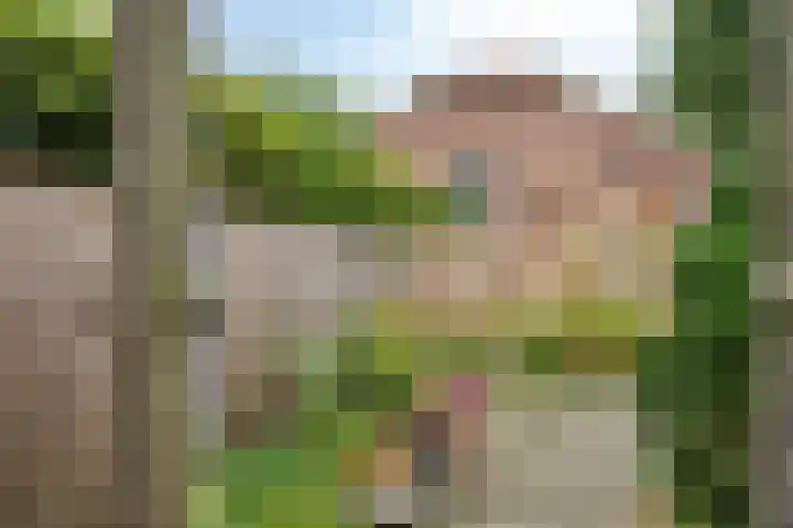 Oeffeltseweg 1 Beugen thumbnail 22