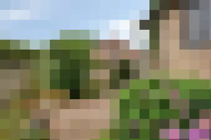 Oeffeltseweg 1 Beugen thumbnail 23