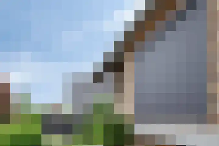 Oeffeltseweg 1 Beugen thumbnail 24