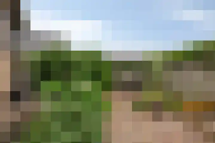 Oeffeltseweg 1 Beugen thumbnail 25