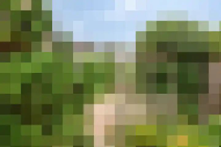 Oeffeltseweg 1 Beugen thumbnail 26
