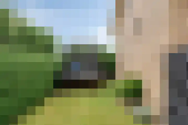 Oeffeltseweg 1 Beugen thumbnail 28