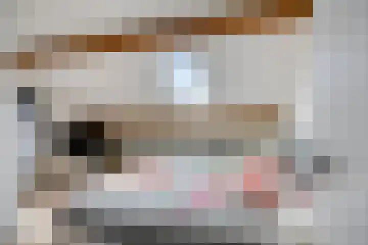 Oeffeltseweg 1 Beugen thumbnail 31