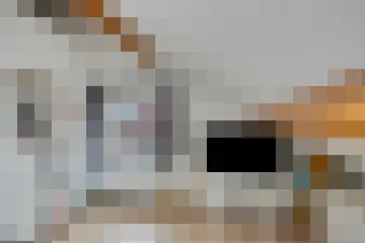 Oeffeltseweg 1 Beugen thumbnail 33
