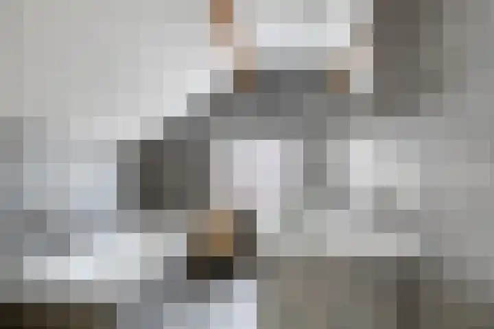 Oeffeltseweg 1 Beugen thumbnail 34