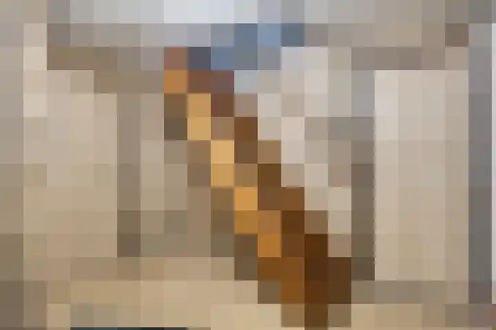 Oeffeltseweg 1 Beugen thumbnail 41