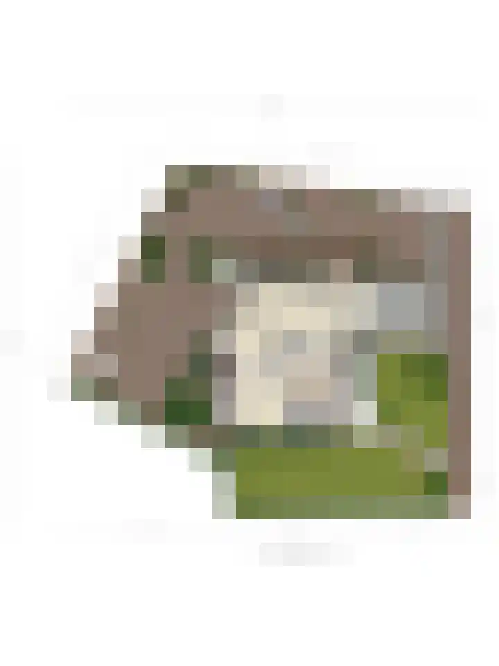 Oeffeltseweg 1 Beugen thumbnail 47