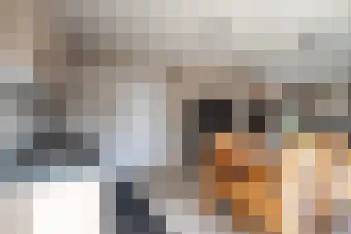 Oegemastraat 25 Genderen thumbnail 13