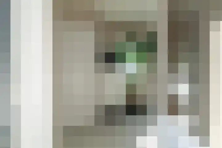 Oegemastraat 25 Genderen thumbnail 14