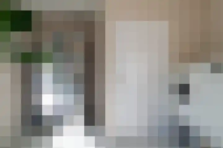Oegemastraat 25 Genderen thumbnail 15