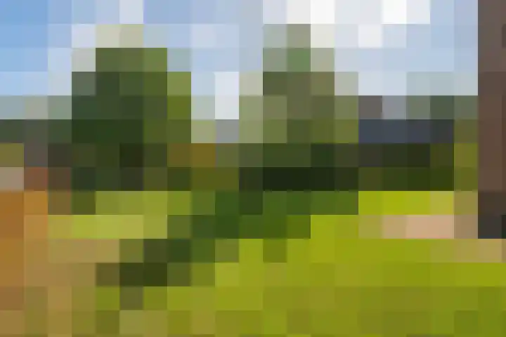 Oegemastraat 25 Genderen thumbnail 4