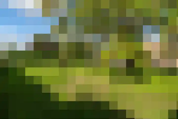 Oegemastraat 25 Genderen thumbnail 40