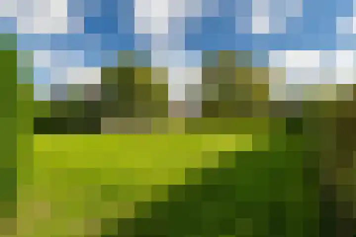 Oegemastraat 25 Genderen thumbnail 41