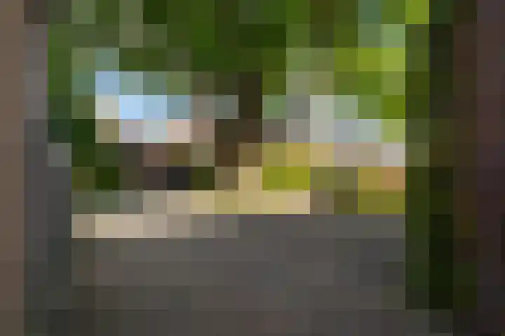 Oegemastraat 25 Genderen thumbnail 42