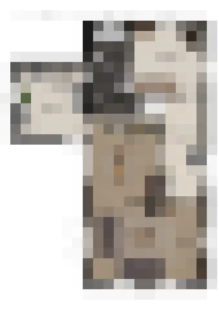Oegemastraat 25 Genderen thumbnail 43