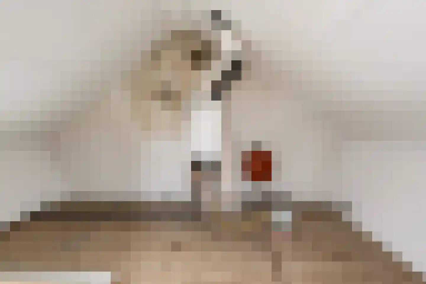 Oegemastraat 3 Genderen thumbnail 27